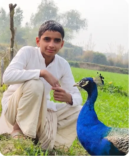 Student seated beside a peacock in a green field